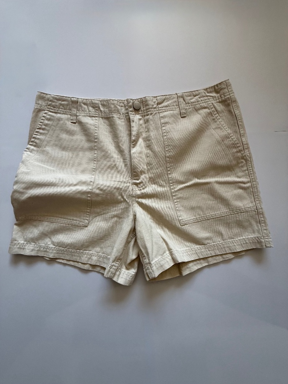 Urban Outfitters BDG Heavyweight Shorts